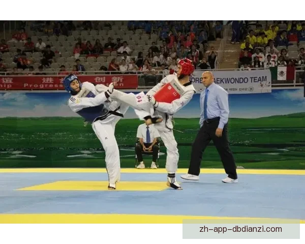 全球跆拳道纪录：超越极限，创造新高！