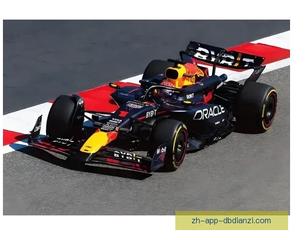 F1赛事纵论：速度与激情交织 经验与技艺较量