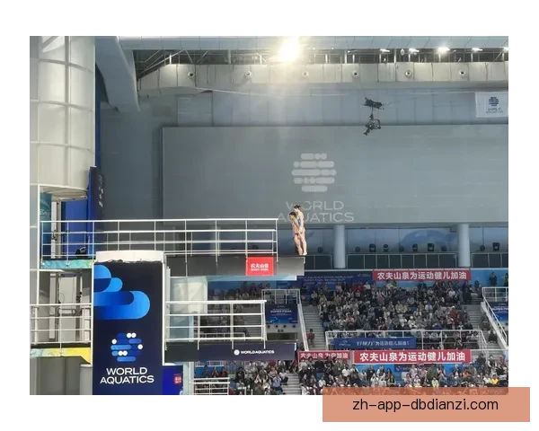 中国跳水队在世界杯赛中获得佳绩 中国跳水队在世界杯赛中获得佳绩