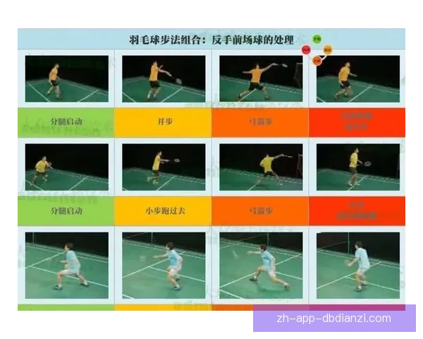 提升羽毛球技能，从零基础到高手，全面视频教学