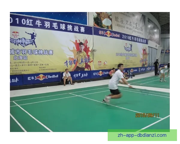 挑战巅峰,激情羽毛球赛 挑战巅峰,激情羽毛球赛