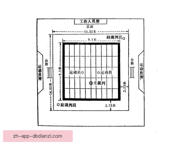 柔道比赛中的技巧应用与策略分析