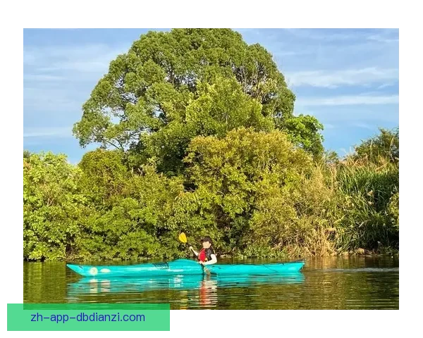 皮划艇入门指南：快乐泛舟水上乐园