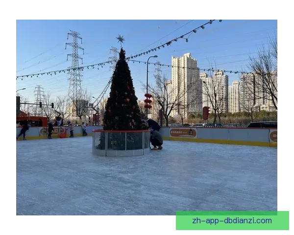 精彩滑冰瞬间绽放 绚丽冰上时光