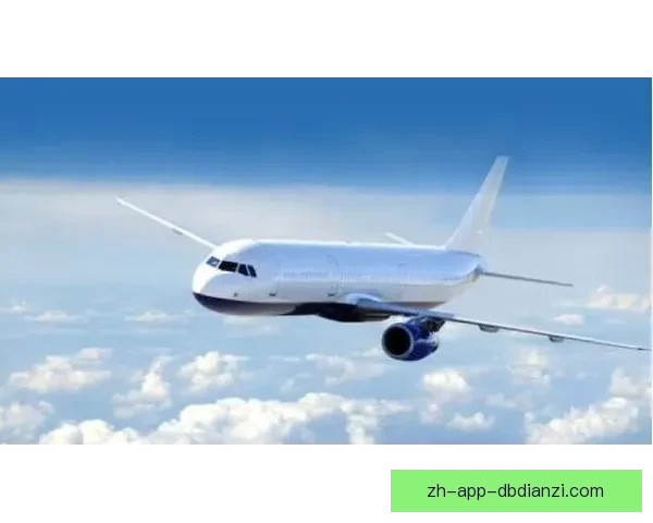 跳水数据探究：技术统计与表现分析