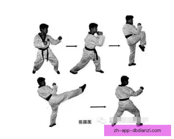 跆拳道盘口分析：策略与技巧解析
