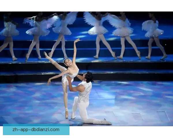 跳水冠军：水下华舞，飞翔梦想