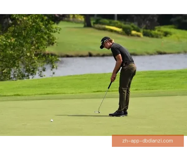 高尔夫公开赛：挑战精准与风格